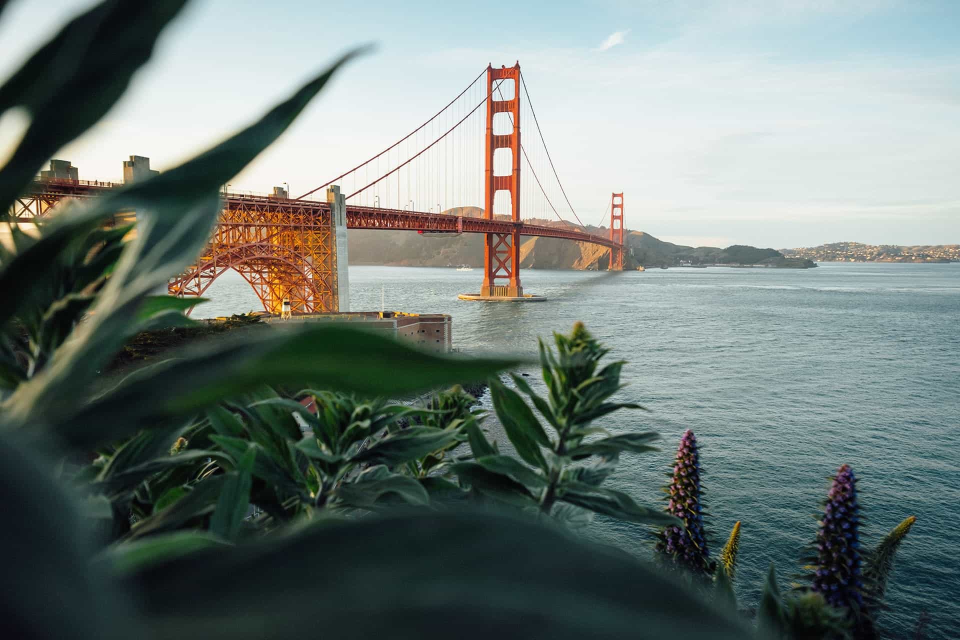 The Top Things To Do In San Francisco With Kids 1 Tim foster o4mp43opghk unsplash